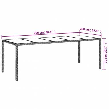 Sodo stalas, stiklas ir poliratanas, 250x100x75cm