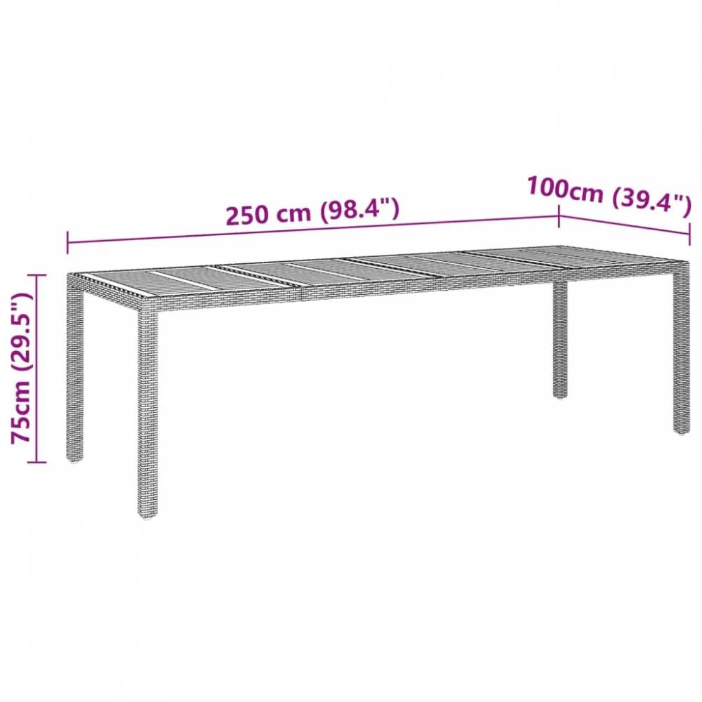 Sodo stalas, 250x100x75cm, poliratanas ir akacija