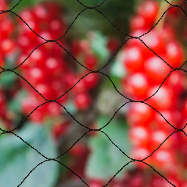 Nature Tinklas nuo paukščių Primo, juodos spalvos