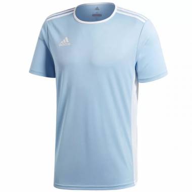 Adidas Entrada 18 Jr CD8414 futbolo marškinėliai