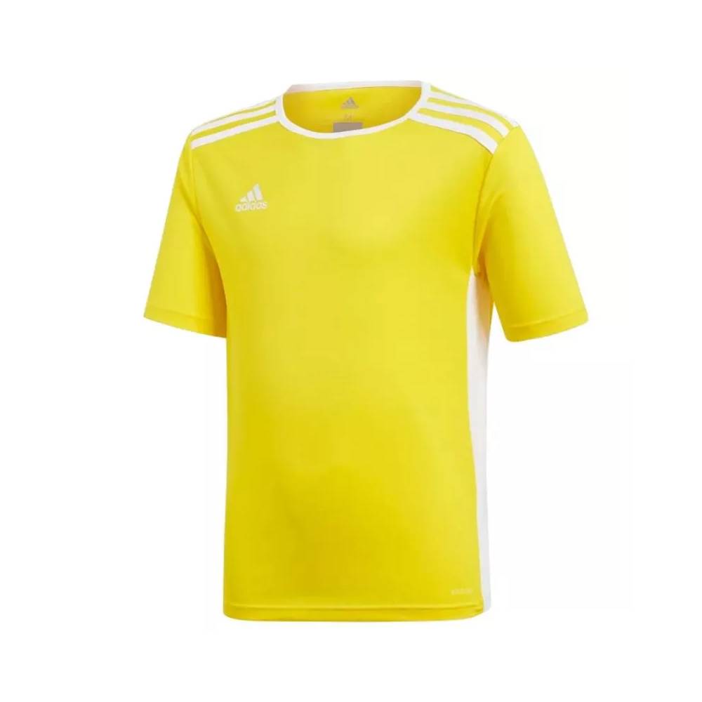 Marškinėliai adidas Entrada 18 Jsyy Jr CF1039