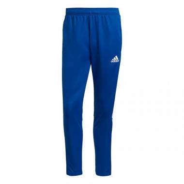 Adidas Tiro 21 Training M GJ9870 kelnės