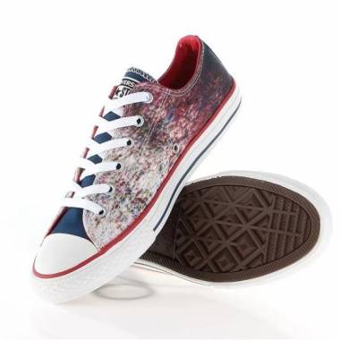 Converse Chuck Taylor All Star Jr 647644C