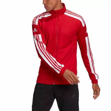 Adidas Squadra 21 Training M GP6464 džemperis