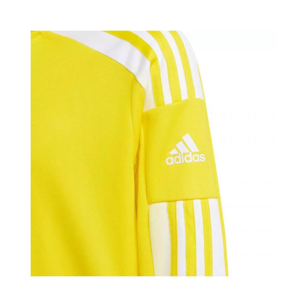 Adidas Squadra 21 Training Youth Jr GP6453 džemperis