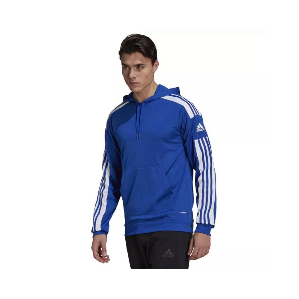 Džemperis adidas Squadra 21 Hoody M GP6436