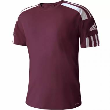 Marškinėliai adidas Squadra 21 JSY M GN8091