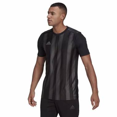 Marškinėliai adidas Striped 21 JSY M GN7625