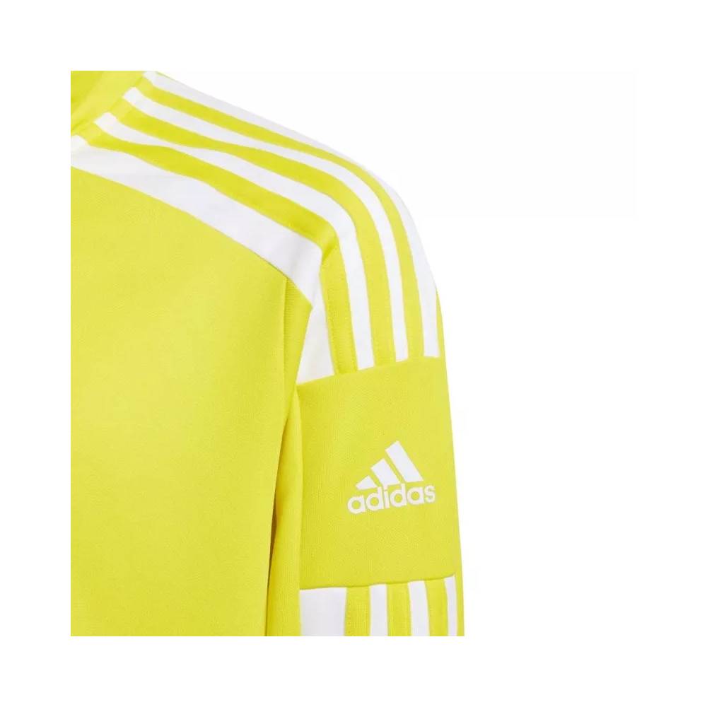 Džemperis adidas Squadra 21 Jr GP6468