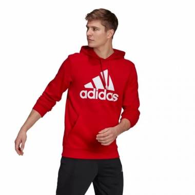 Džemperis adidas Essentials Big Logo M GV0249