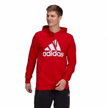 Džemperis adidas Essentials Big Logo M GV0249