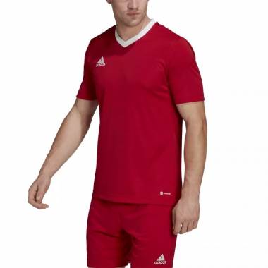 Marškinėliai adidas Entrada 22 M H61736