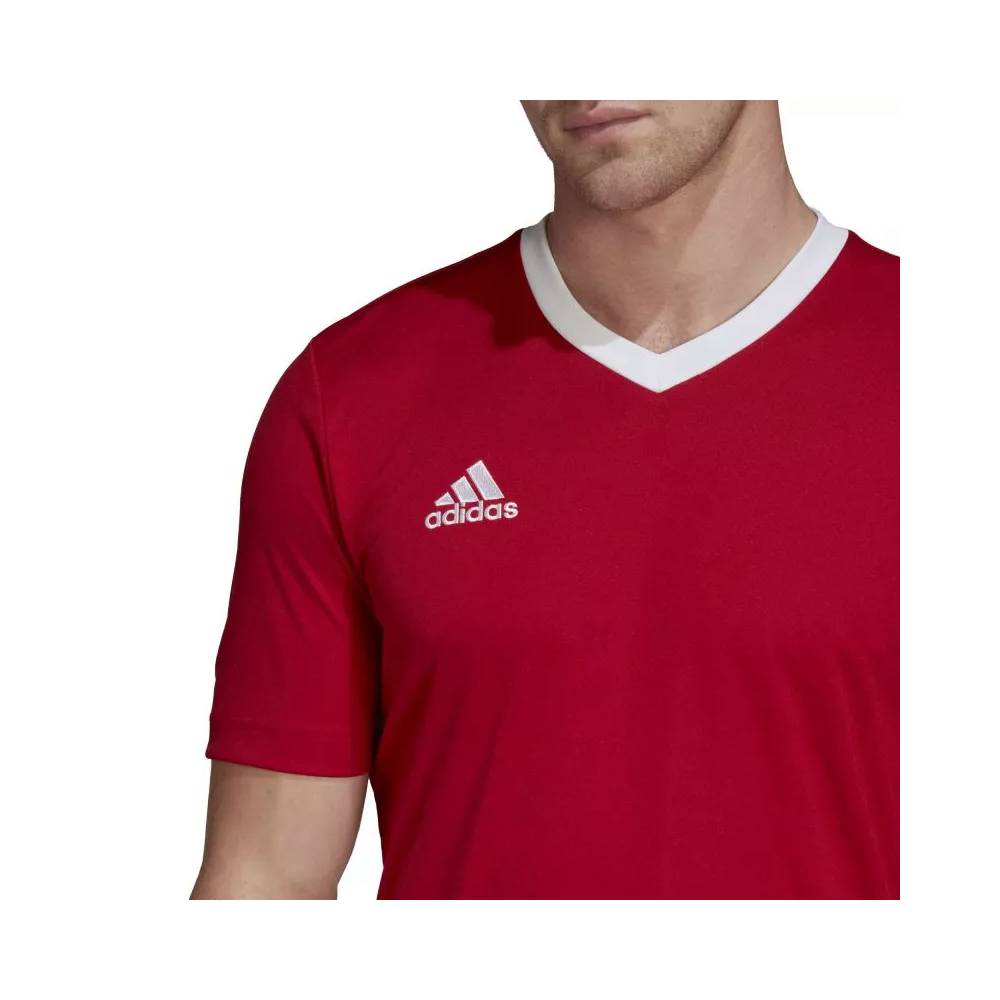 Marškinėliai adidas Entrada 22 M H61736