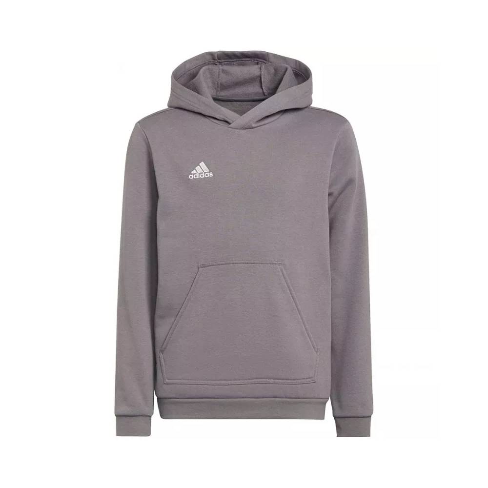 Džemperis adidas Entrada 22 Hoody Jr H57515