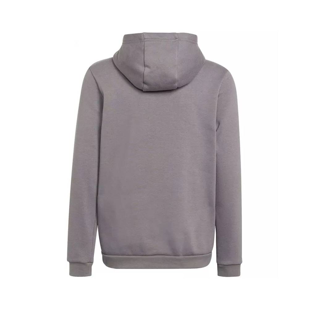 Džemperis adidas Entrada 22 Hoody Jr H57515