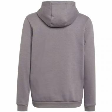 Džemperis adidas Entrada 22 Hoody Jr H57515