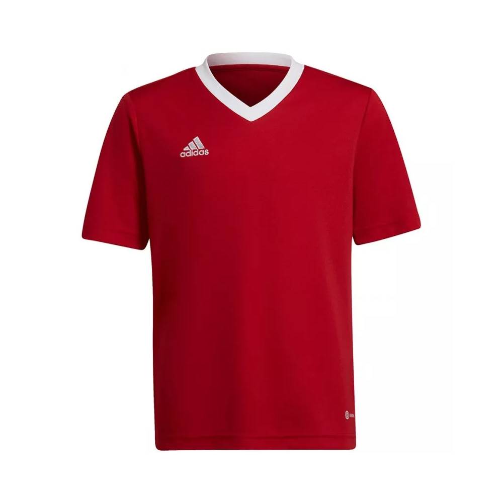 Marškinėliai adidas Entrada 22 Jsy Jr H57496