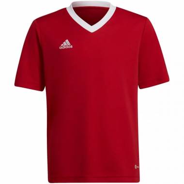 Marškinėliai adidas Entrada 22 Jsy Jr H57496