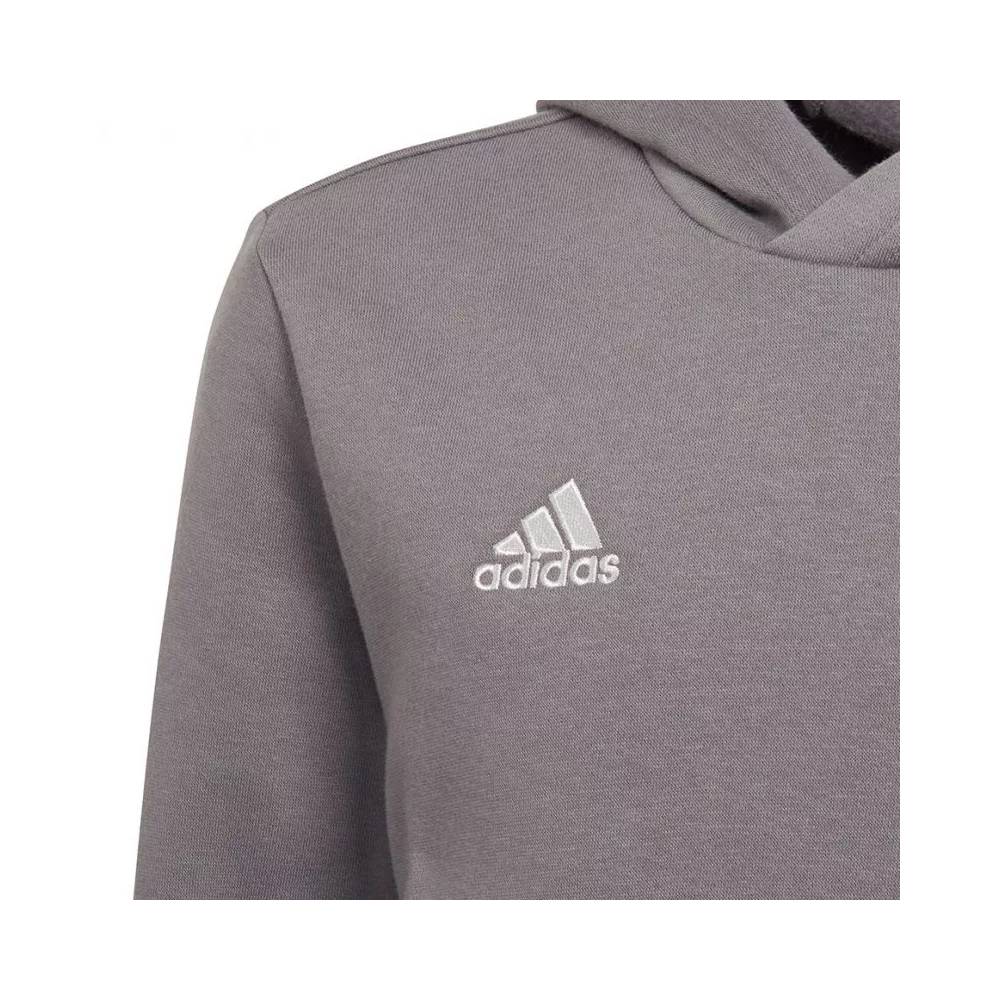 Džemperis adidas Entrada 22 Hoody Jr H57515