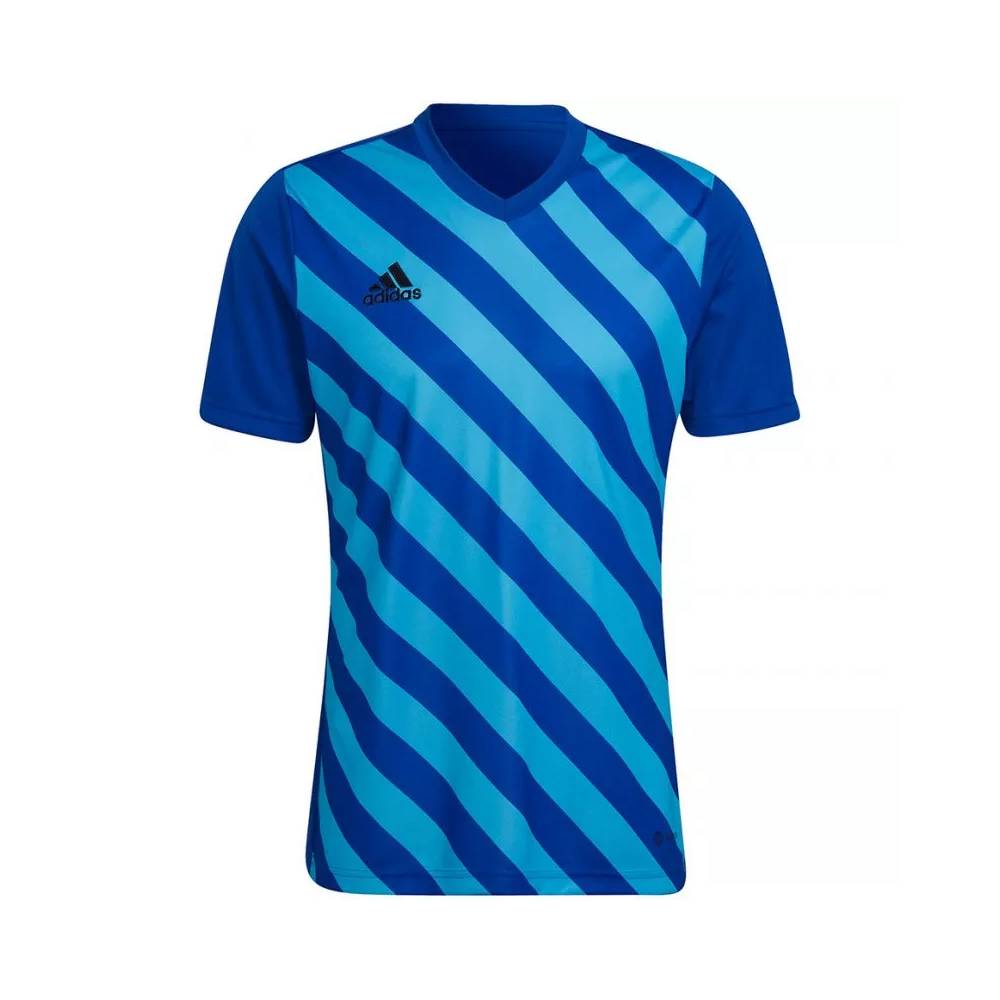 Marškinėliai adidas Entrada 22 Graphic Jersey M HF0116