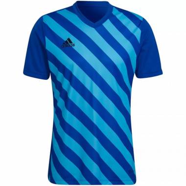 Marškinėliai adidas Entrada 22 Graphic Jersey M HF0116