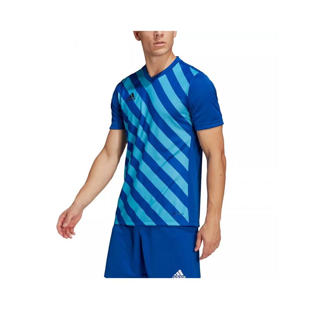 Marškinėliai adidas Entrada 22 Graphic Jersey M HF0116