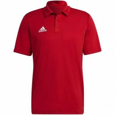 Adidas marškinėliai Entrada 22 Polo M H57489