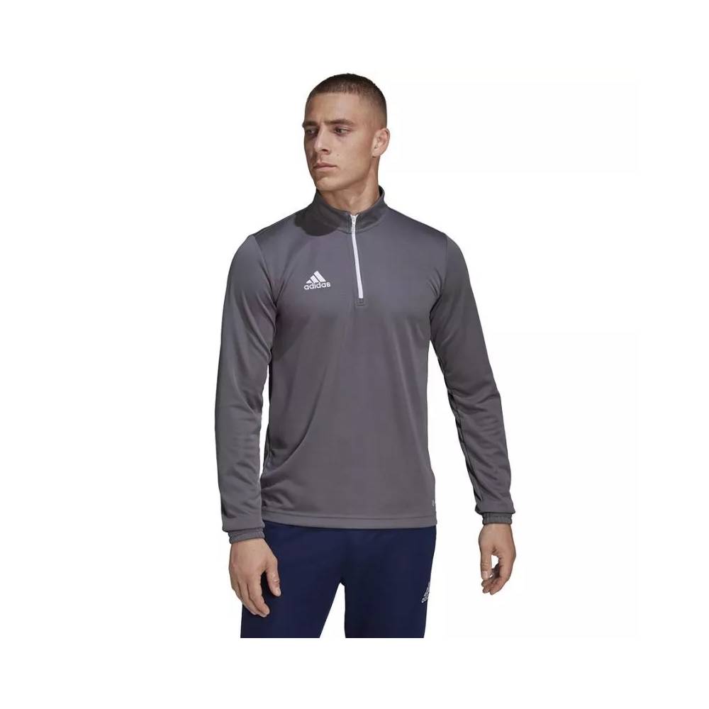 Džemperis adidas Entrada 22 Training Top M H57546