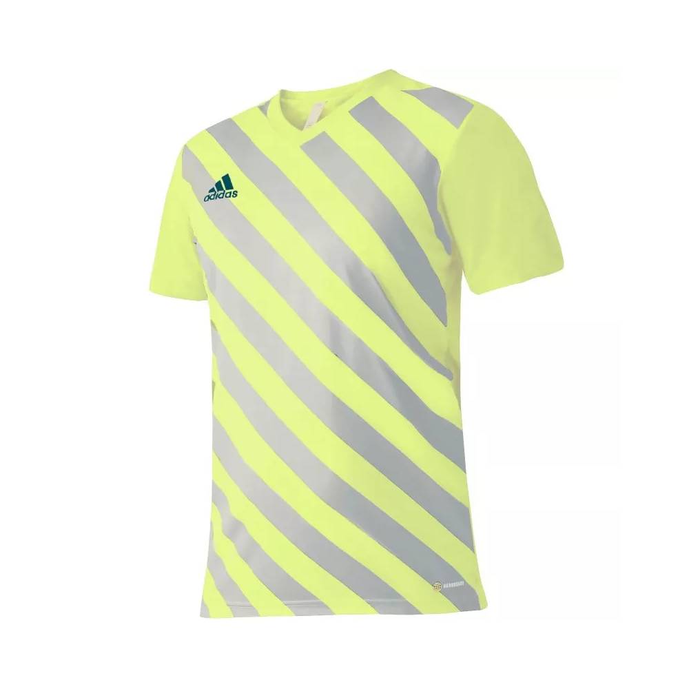 Marškinėliai adidas Entrada 22 Graphic Jersey M HF0118