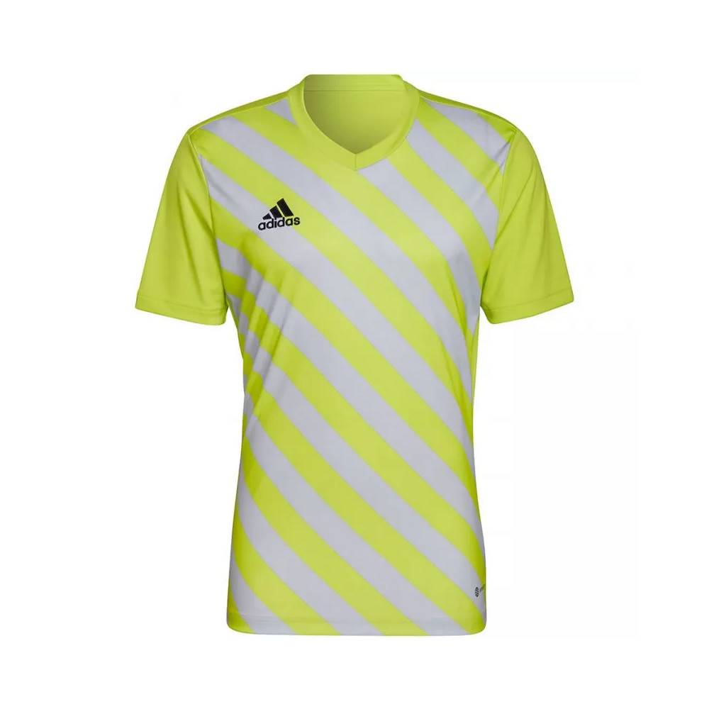 Marškinėliai adidas Entrada 22 Graphic Jersey M HF0118