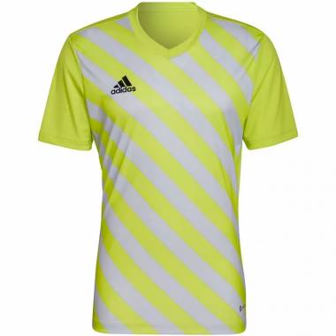 Marškinėliai adidas Entrada 22 Graphic Jersey M HF0118