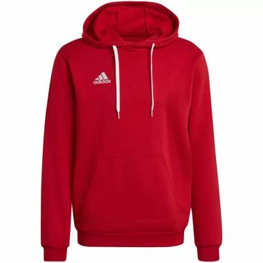 Džemperis adidas Entrada 22 Hoody M H57514