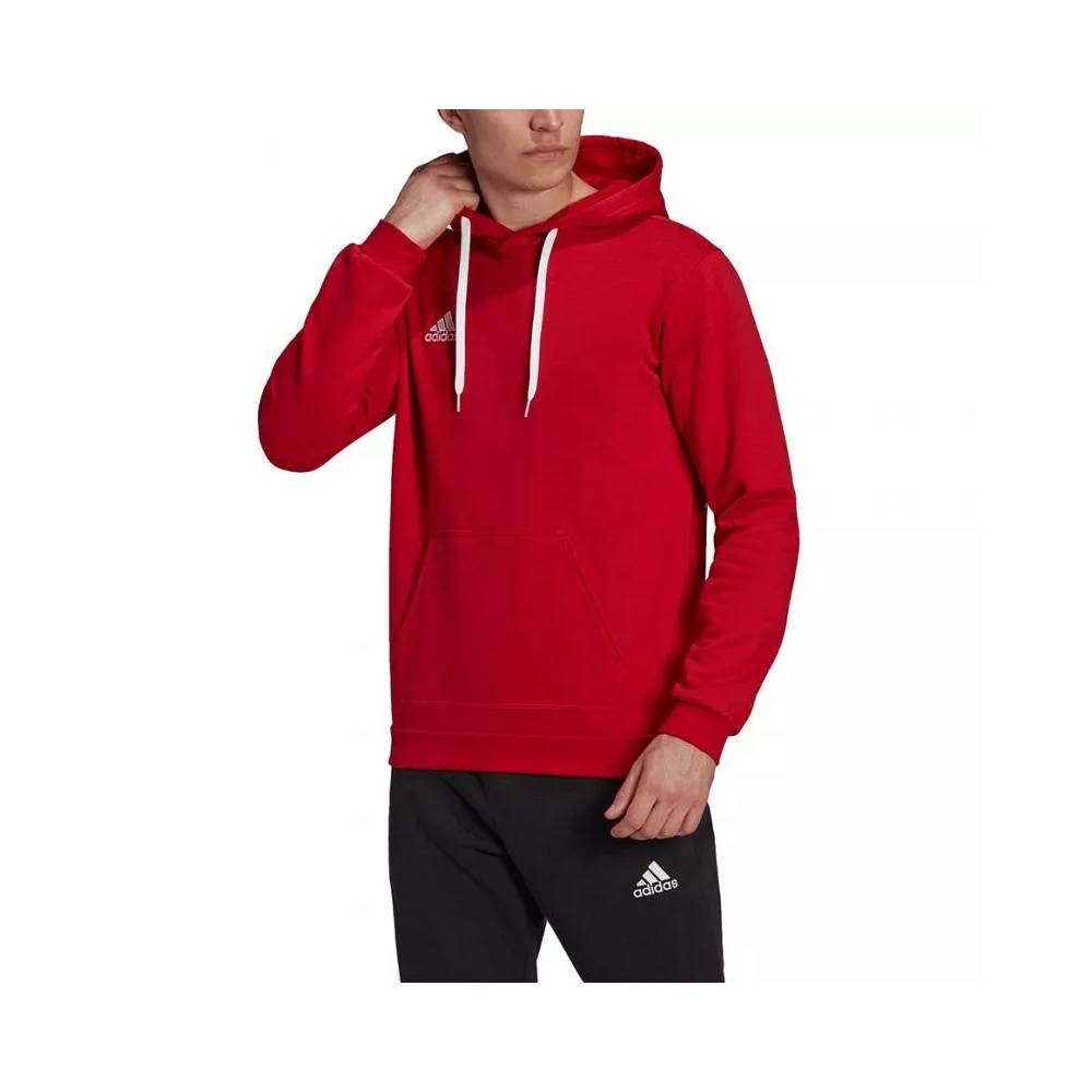 Džemperis adidas Entrada 22 Hoody M H57514