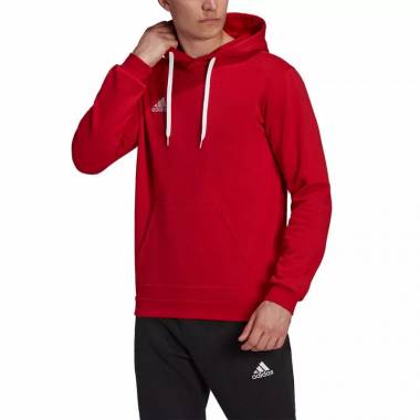 Džemperis adidas Entrada 22 Hoody M H57514