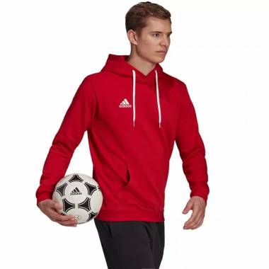 Džemperis adidas Entrada 22 Hoody M H57514