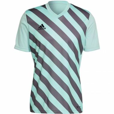 Marškinėliai adidas Entrada 22 Graphic Jersey M HF0119