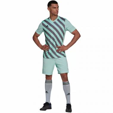 Marškinėliai adidas Entrada 22 Graphic Jersey M HF0119