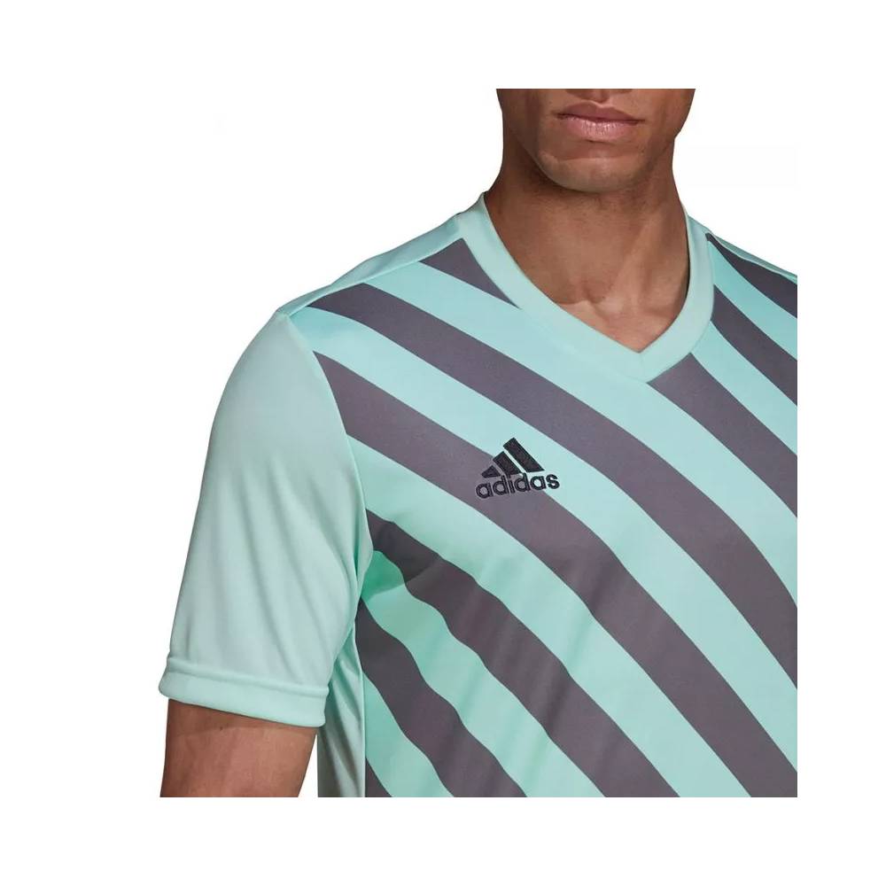 Marškinėliai adidas Entrada 22 Graphic Jersey M HF0119