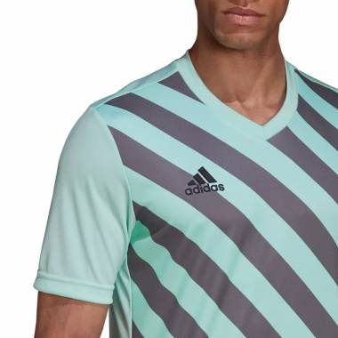 Marškinėliai adidas Entrada 22 Graphic Jersey M HF0119