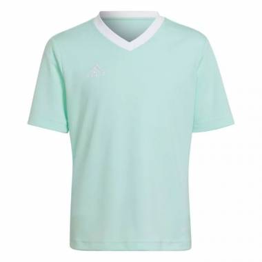 Marškinėliai adidas Entrada 22 Jersey Jr HC5078