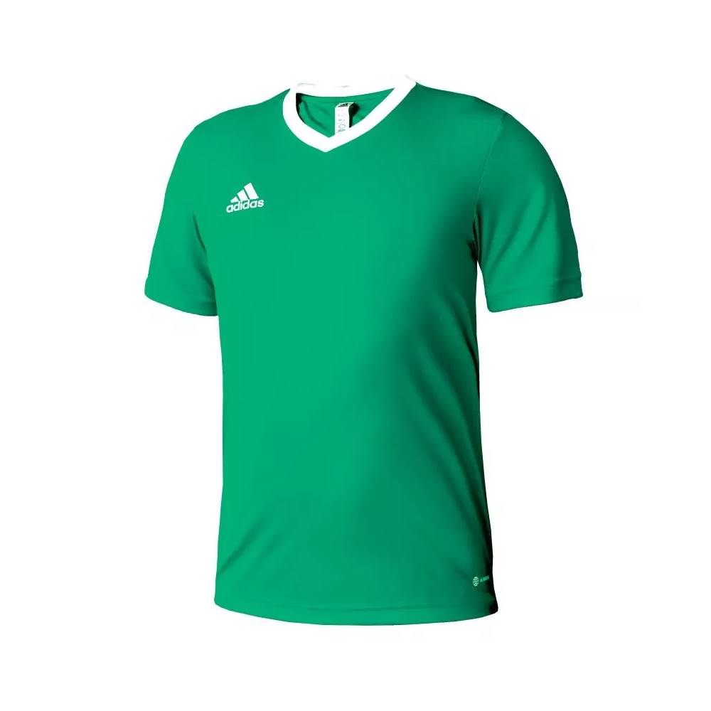 Marškinėliai adidas Entrada 22 Jersey Jr HI2126