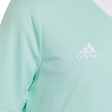 Marškinėliai adidas Entrada 22 Jersey Jr HC5078