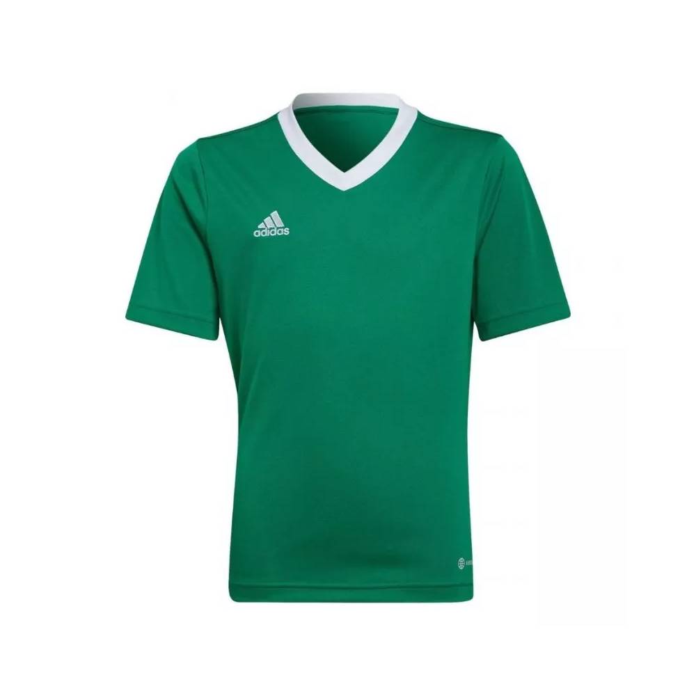 Marškinėliai adidas Entrada 22 Jersey Jr HI2126