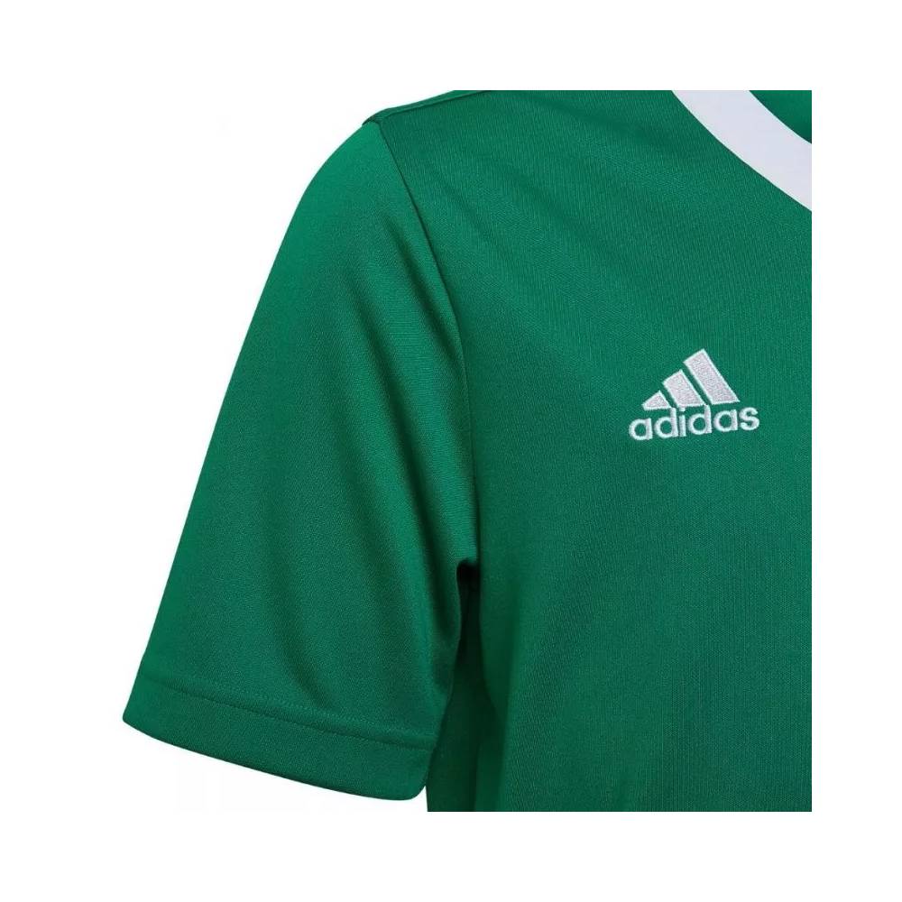 Marškinėliai adidas Entrada 22 Jersey Jr HI2126