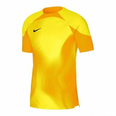 Nike Dri-FIT ADV Gardien 4 M DH7760-719 vartininko marškinėliai