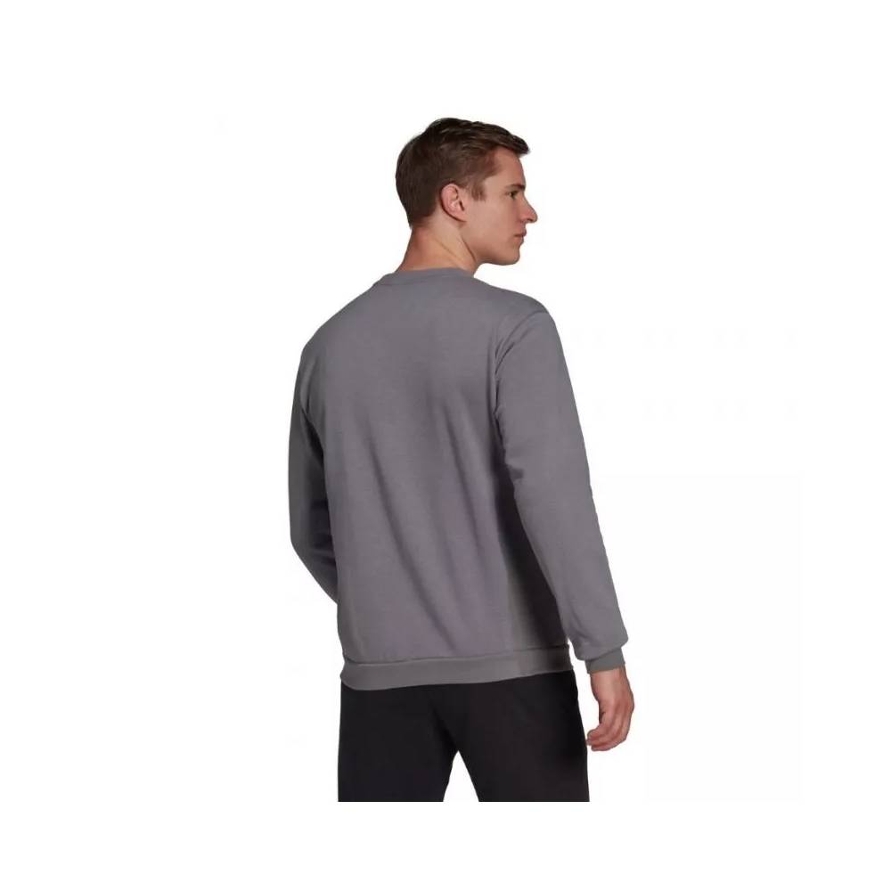 Džemperis adidas Entrada 22 Sweat Top M H57479