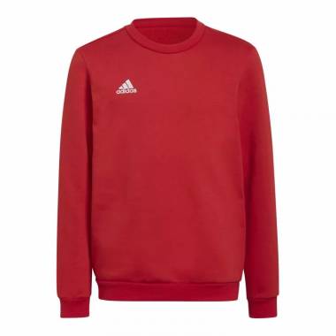 Džemperis adidas Entrada 22 Sweat Jr H57473