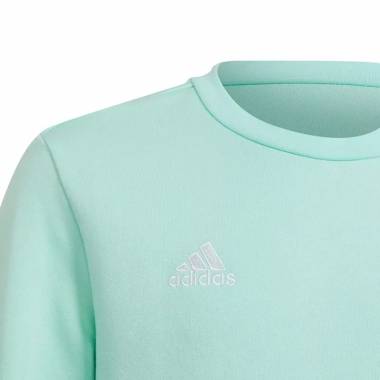 Adidas Entrada 22 Sweat Top Jr HC5042 džemperis