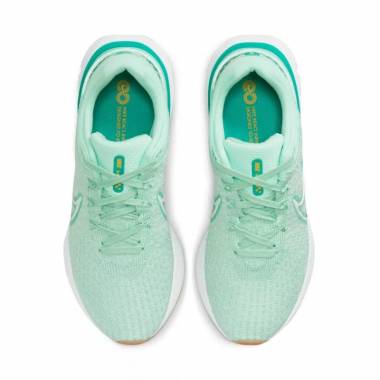 Nike React Infinity Run Flyknit 3 W DD3024-301 avalynė