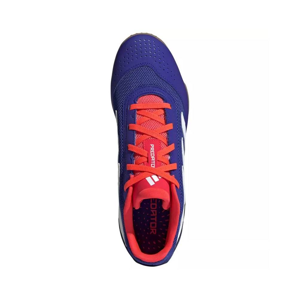 Adidas Predator Club Sala IN M IF6403 futbolo bateliai